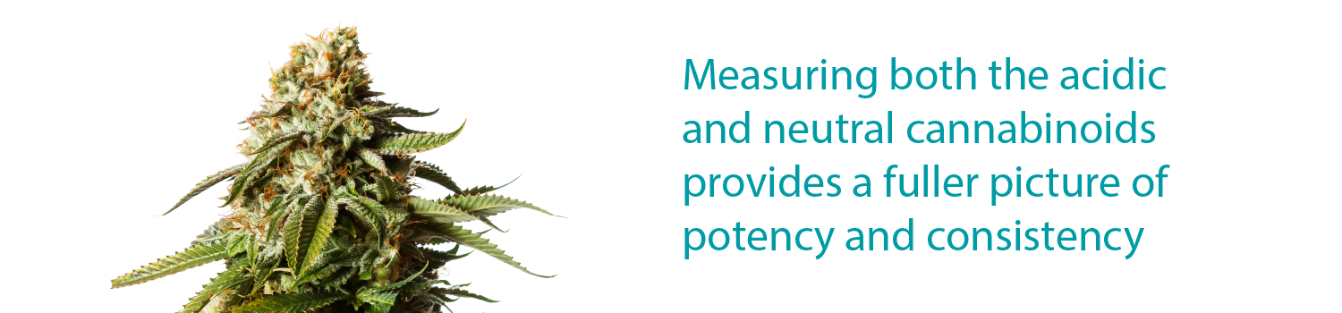 Acidic_Neutral_Cannabinoids_01