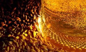 Malt-and-Beer