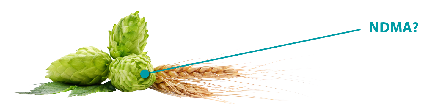 NDMA_Malt