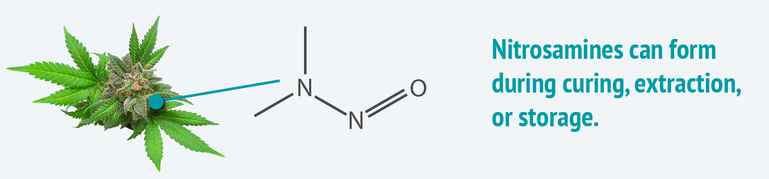 Nitrosamines_Cannabis